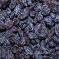 Hot Sale Good Quality Raisins Black Raisin Yellow Raisin Green Raisin Red Raisin Grape